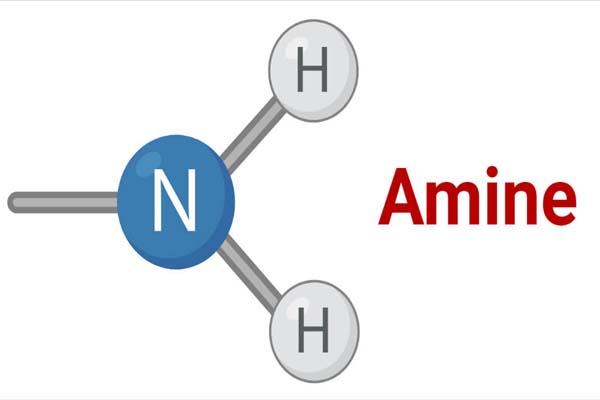 amines manufacturers & suppliers in Delhi India