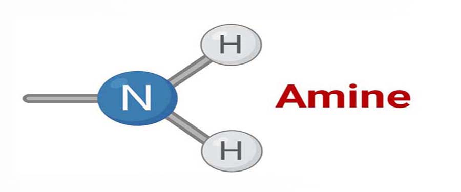amines supplier in india